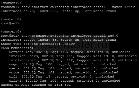 juniper_rabota_s_vlan_03_ciscomaster.ru.jpg